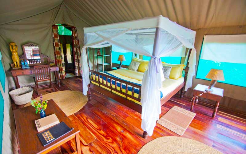 4-Day Gombe Chimpanzee Trekking Safari from Dar es Salaam